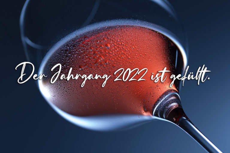 Die ersten 2022er Weine sind gefüllt!